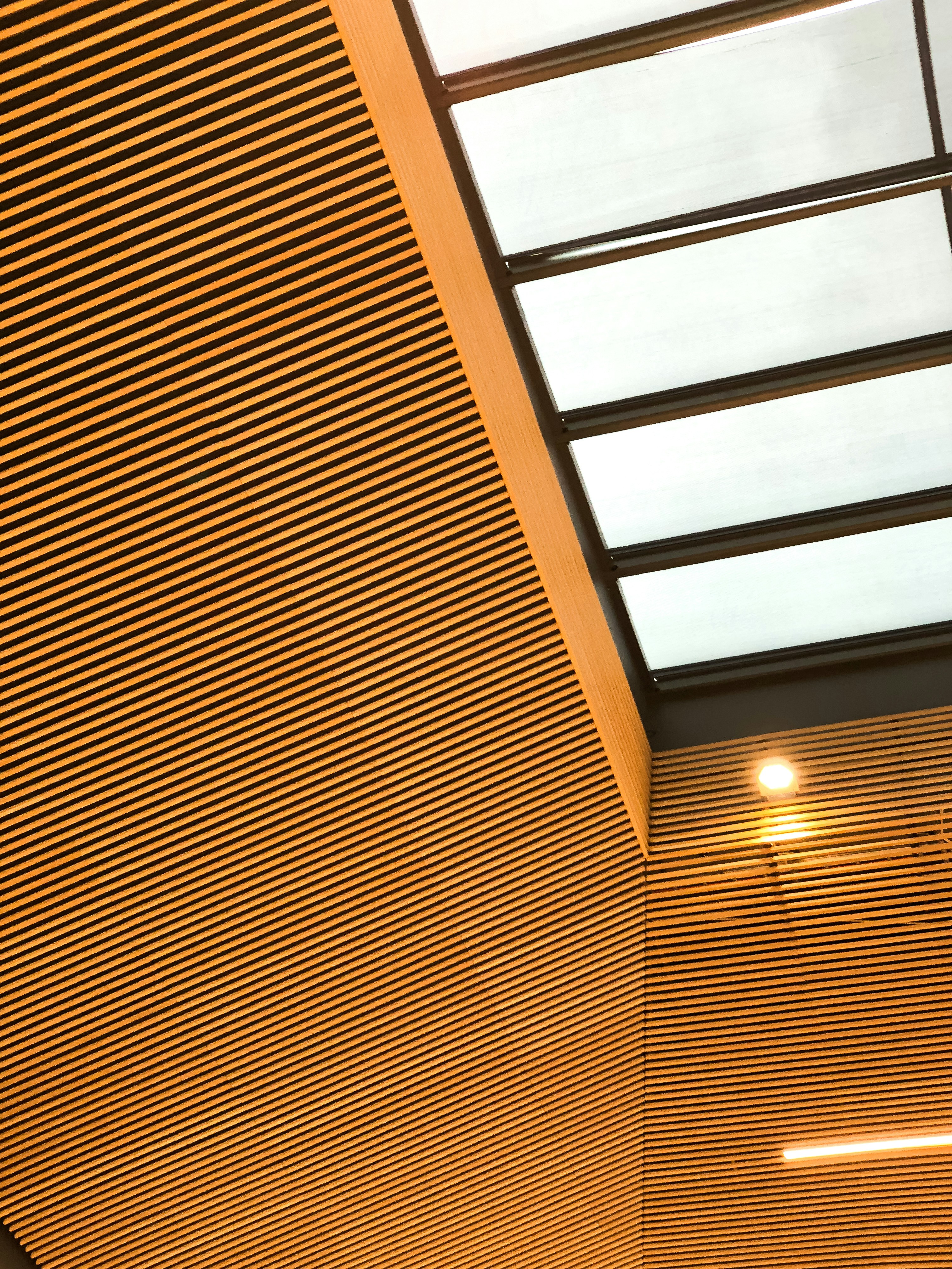 Brown White Wooden Ceiling - Photo by <a href="https://unsplash.com/@spurwingagency?utm_content=creditCopyText&utm_medium=referral&utm_source=unsplash">Spurwing Agency</a> on <a href="https://unsplash.com/photos/brown-and-white-wooden-ceiling-5TQ_Kqc2K44?utm_content=creditCopyText&utm_medium=referral&utm_source=unsplash">Unsplash</a>
 