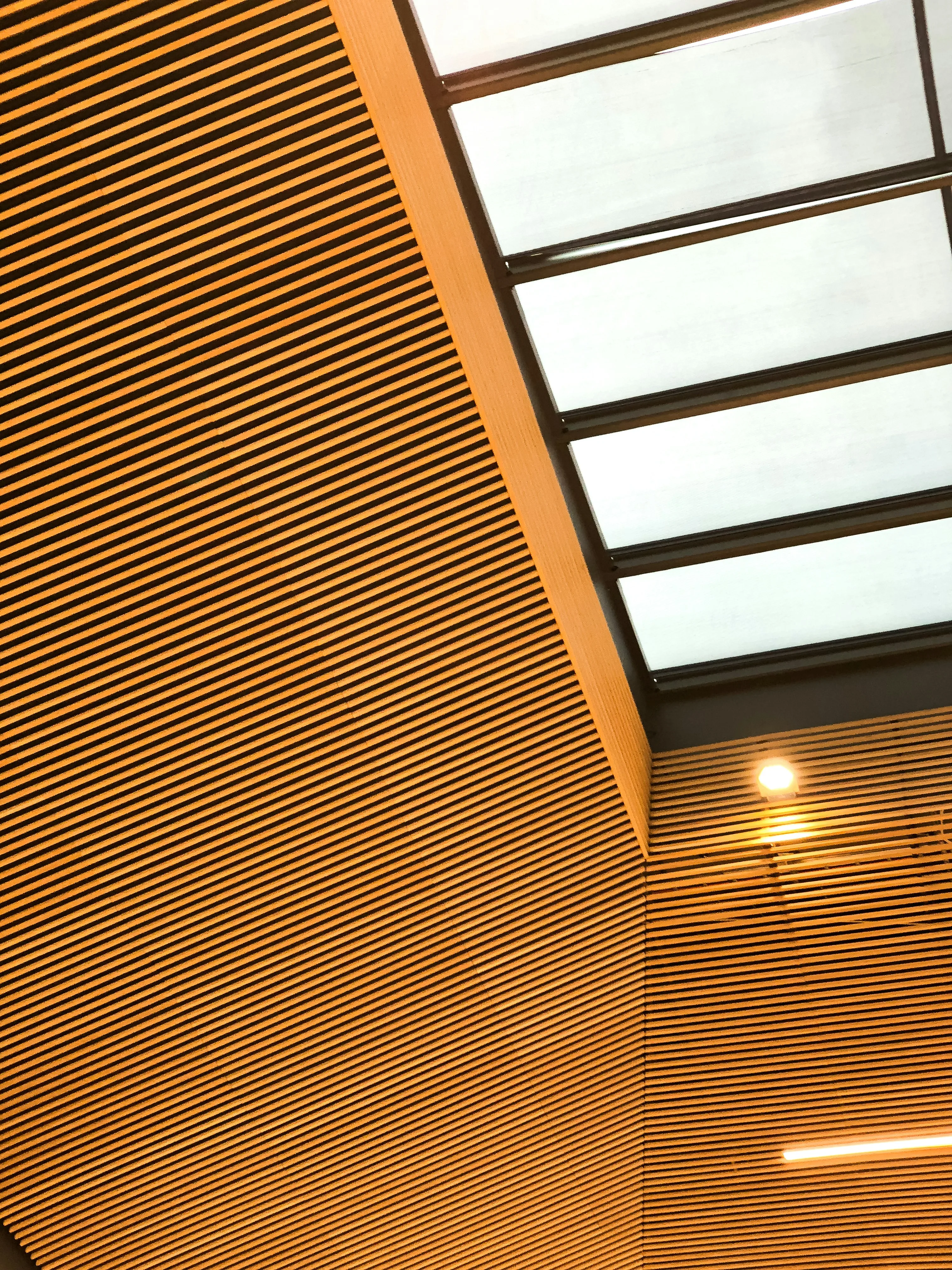 Brown White Wooden Ceiling - Photo by <a href="https://unsplash.com/@spurwingagency?utm_content=creditCopyText&utm_medium=referral&utm_source=unsplash">Spurwing Agency</a> on <a href="https://unsplash.com/photos/brown-and-white-wooden-ceiling-5TQ_Kqc2K44?utm_content=creditCopyText&utm_medium=referral&utm_source=unsplash">Unsplash</a>